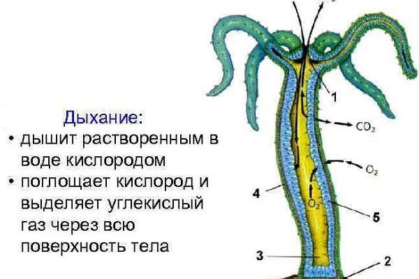 Регистрация на сайте кракен